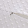 00259-1.jpg
